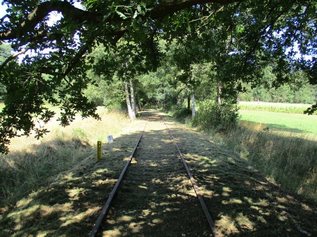ZWNEGI16